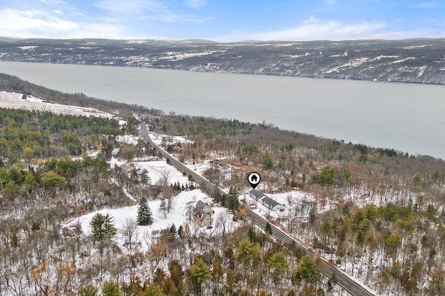 snowy aerial view featuring a water and mountain view