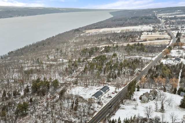 snowy aerial view featuring a mountain view