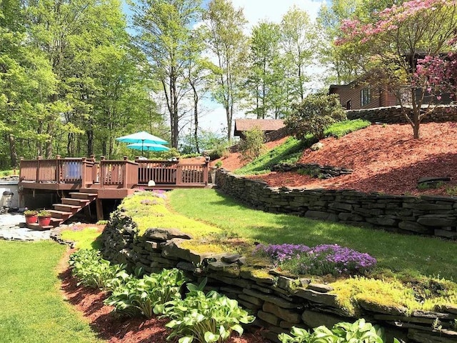 view of yard featuring a wooden deck