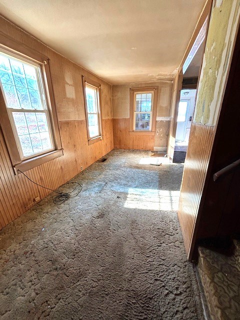 spare room with carpet floors and wooden walls