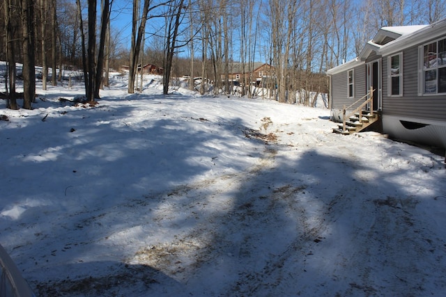 view of yard covered in snow