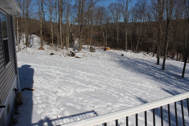 view of yard covered in snow