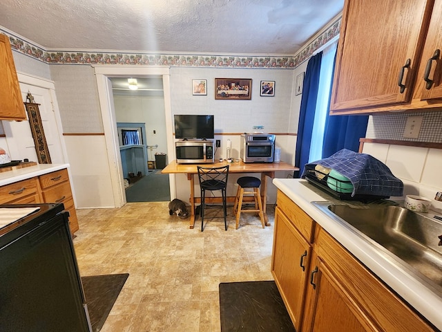 kitchen featuring black / electric stove, sink, and a textured ceiling