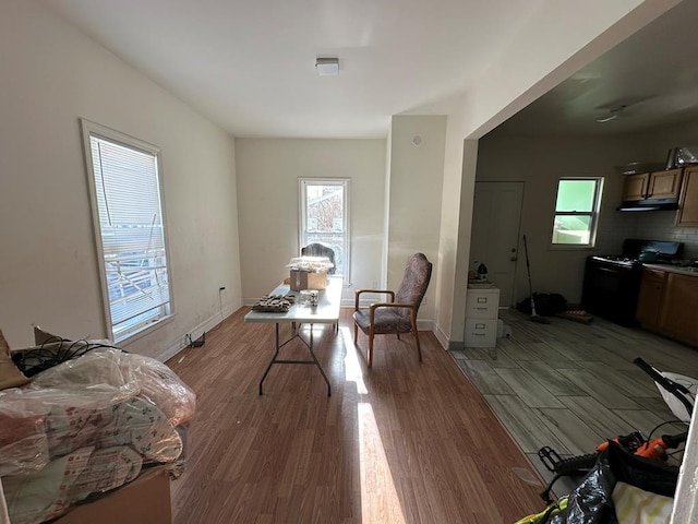 living area featuring wood-type flooring and a wealth of natural light