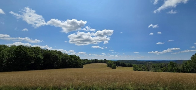 view of landscape featuring a rural view