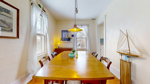 dining area featuring a wealth of natural light