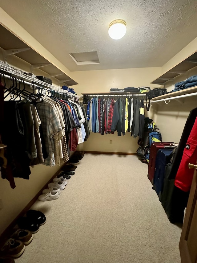 spacious closet featuring carpet flooring