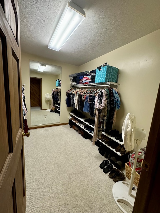 spacious closet with carpet