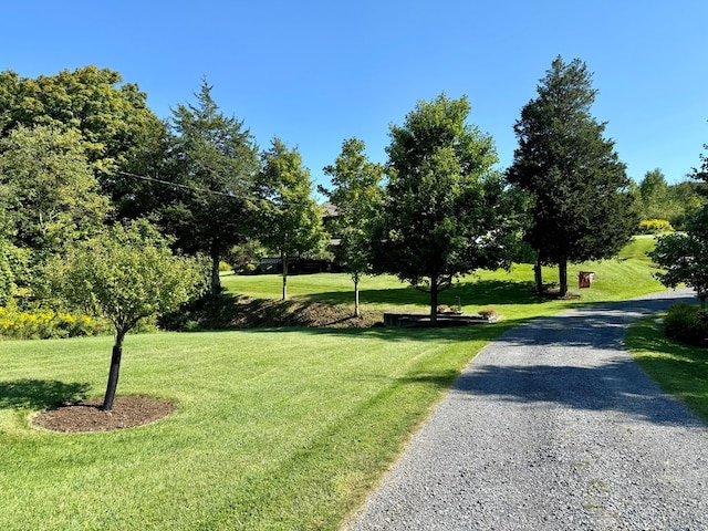 view of road featuring a yard