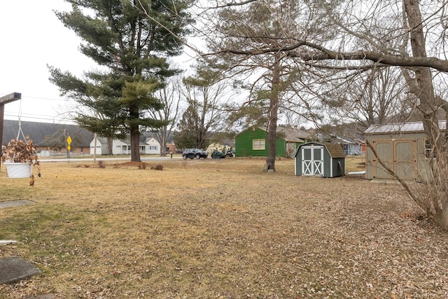 view of yard with a storage unit