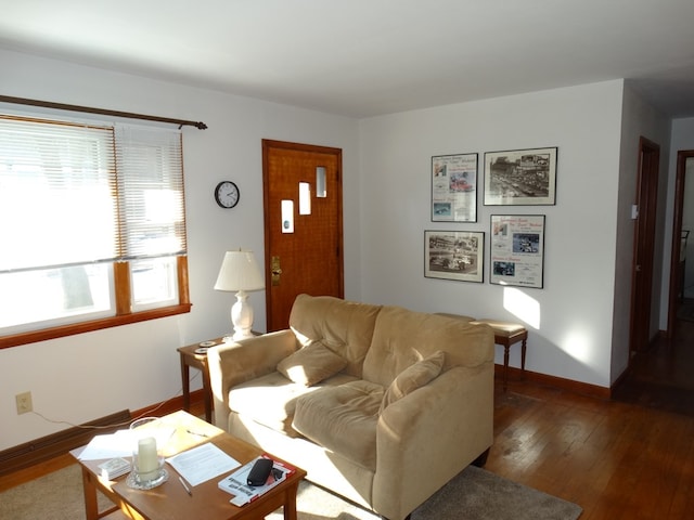 living room featuring hardwood / wood-style flooring