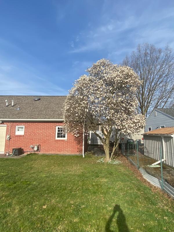 back of house featuring central AC and a lawn