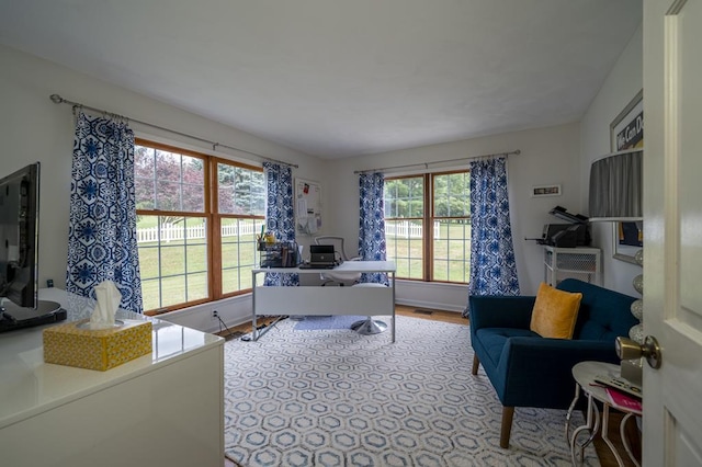 home office featuring light hardwood / wood-style floors