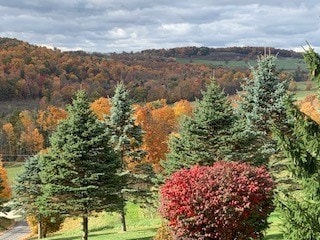 property view of mountains