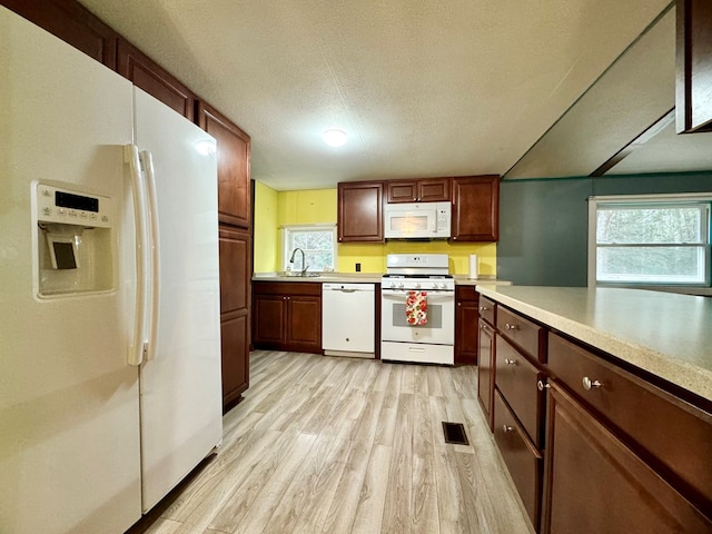 kitchen with light wood-type flooring, sink, a textured ceiling, and white appliances