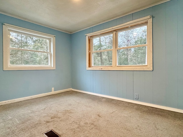 spare room featuring crown molding, a textured ceiling, and carpet