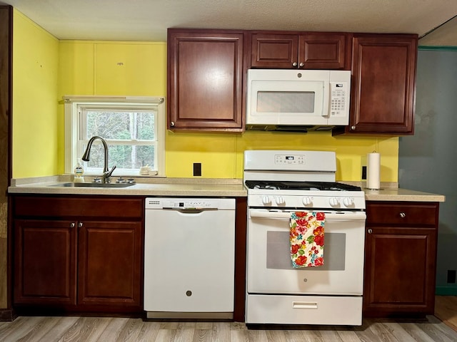 kitchen featuring sink, white appliances, and light wood-type flooring