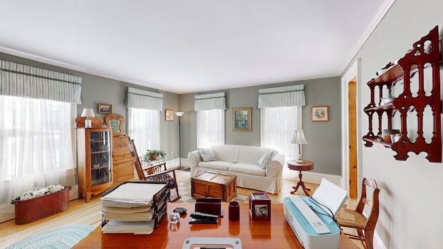 living room with hardwood / wood-style flooring and ornamental molding