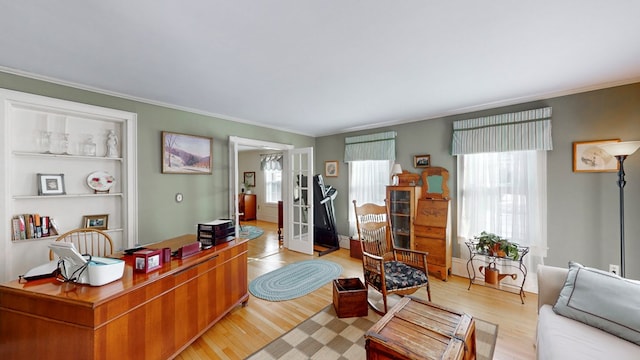 office featuring ornamental molding and light hardwood / wood-style flooring