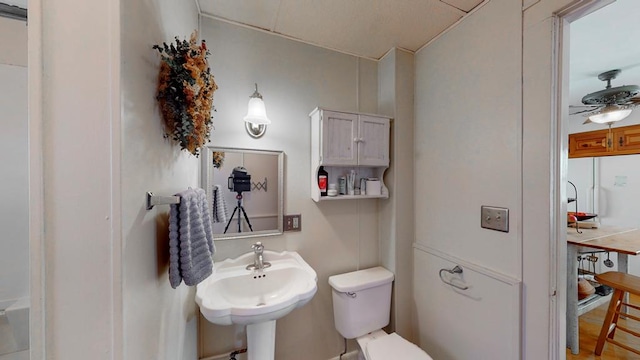 bathroom with ceiling fan, toilet, and sink