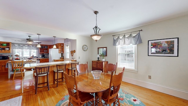 dining room with ceiling fan and light hardwood / wood-style floors