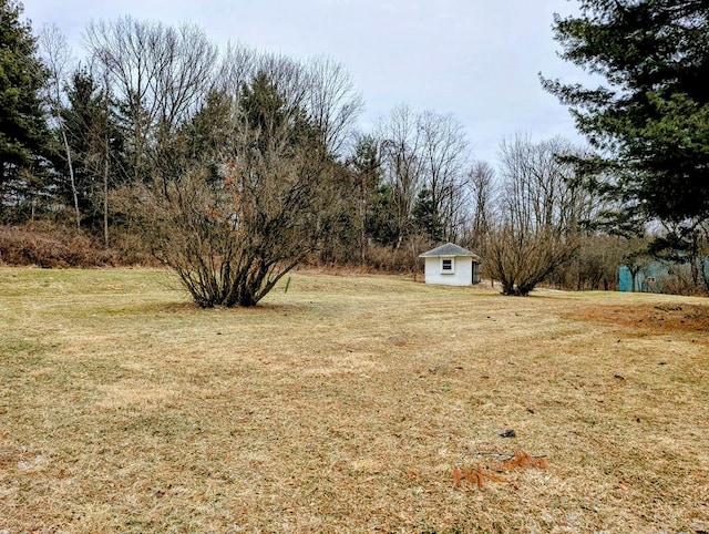 view of yard featuring an outbuilding