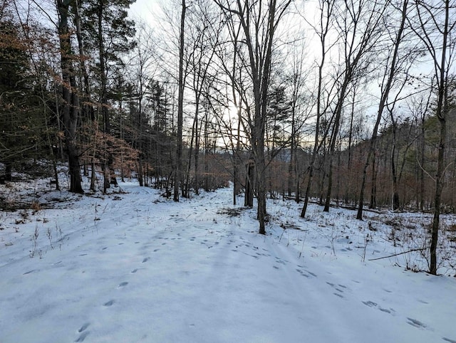 view of yard covered in snow