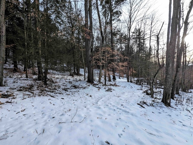 view of snow covered land