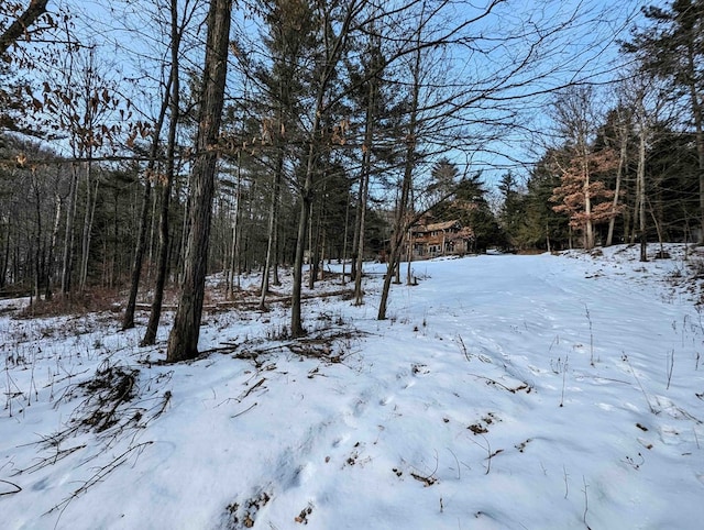 view of yard layered in snow