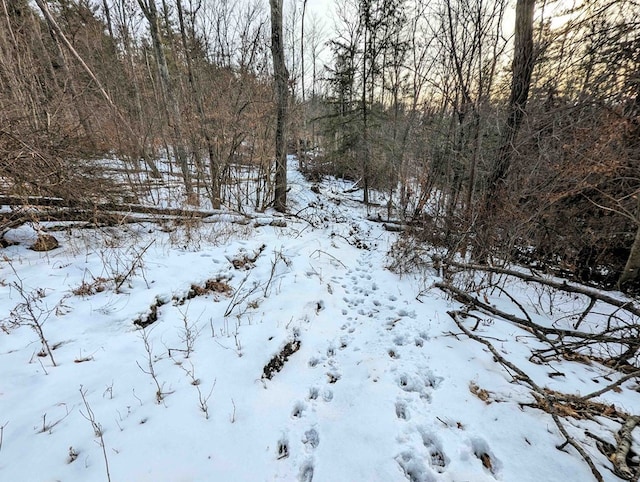 view of snow covered land