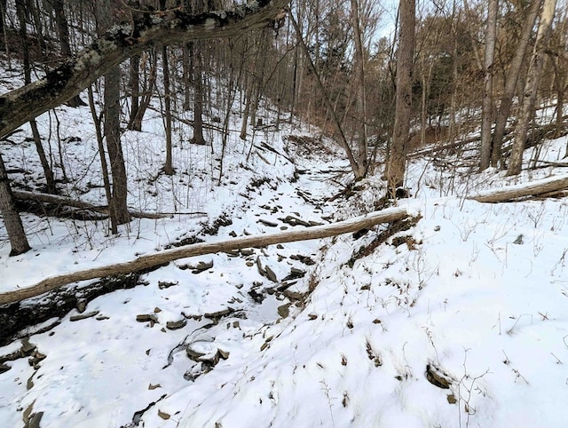 view of snow covered land