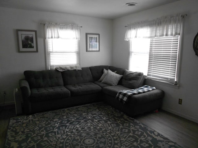 living room featuring a healthy amount of sunlight and wood-type flooring