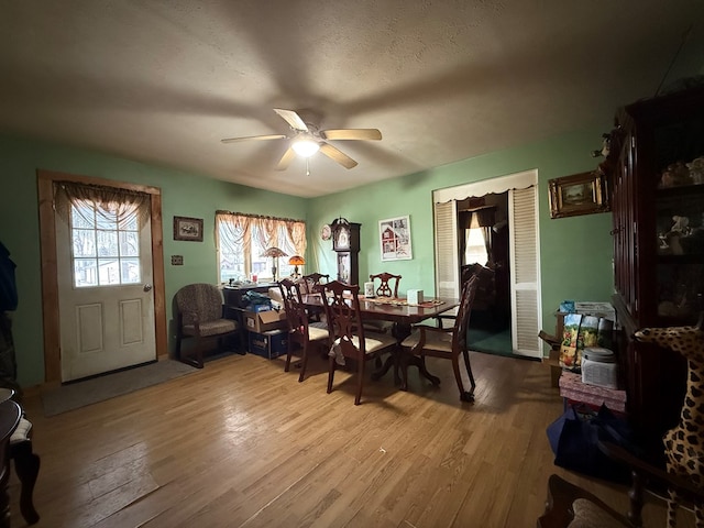 dining room featuring a textured ceiling, light hardwood / wood-style floors, and ceiling fan