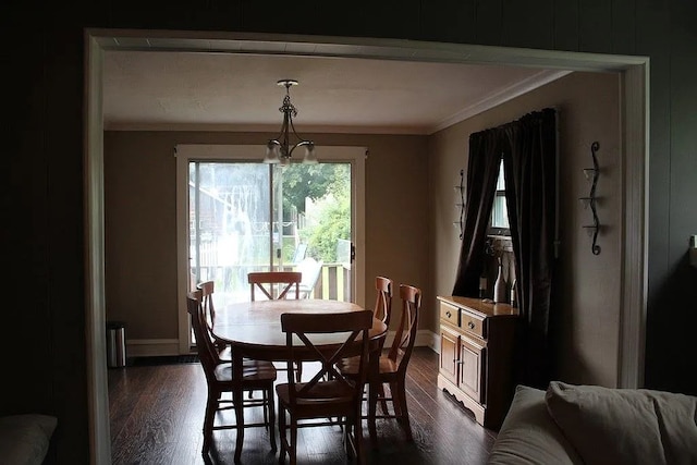 dining space featuring crown molding and dark hardwood / wood-style floors