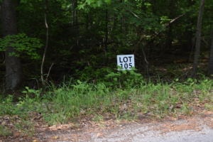 LOT105 Treasure Tree Rd, Ten Mile TN, 37880 land for sale