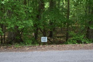 LOT107 Treasure Tree Rd, Ten Mile TN, 37880 land for sale