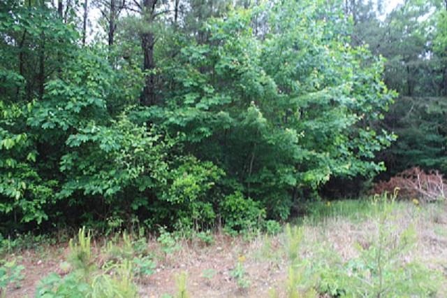 Listing photo 2 for Baker Mountain Rd, Spencer TN 38585