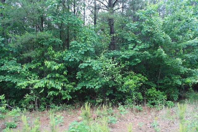 Listing photo 3 for Baker Mountain Rd, Spencer TN 38585