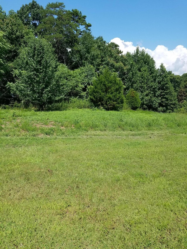 Listing photo 2 for Crystal Springs Rd, Rockwood TN 37854