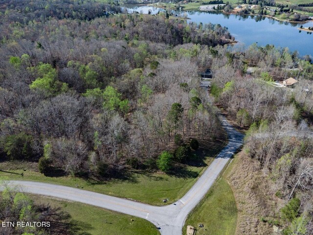 Crystal Springs Rd, Rockwood, TN 37854