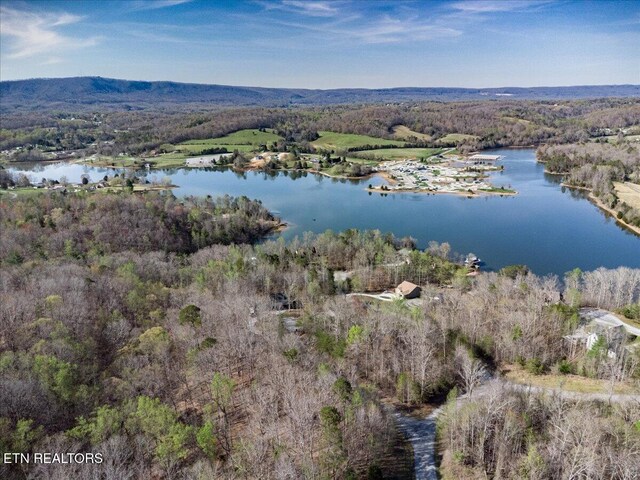 Crystal Springs Rd, Rockwood, TN 37854
