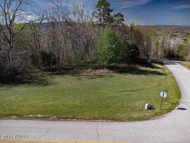 Crystal Springs Rd, Rockwood, TN 37854