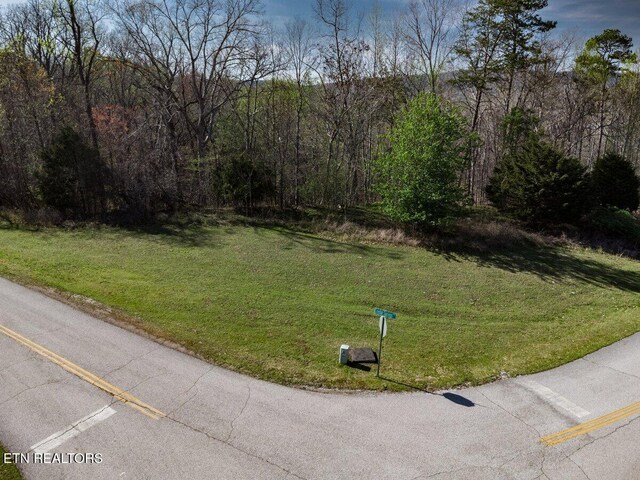 Crystal Springs Rd, Rockwood, TN 37854