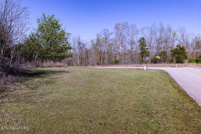 Crystal Springs Rd, Rockwood, TN 37854