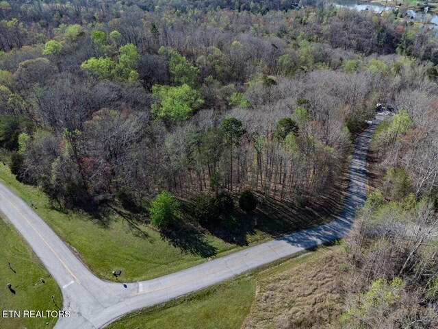 Crystal Springs Rd, Rockwood, TN 37854