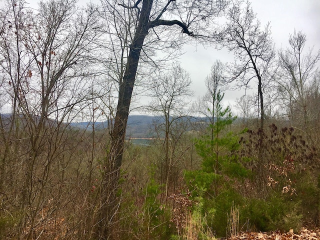 Listing photo 2 for Tanzanite, New Tazewell TN 37825