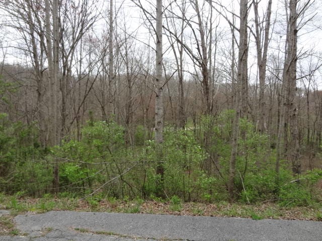 Eugene Ct, Crossville TN, 38555 land for sale