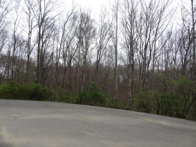 Eugene Ct, Crossville TN, 38555 land for sale