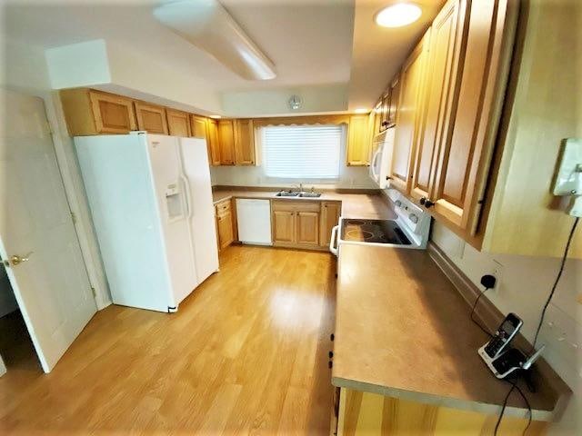 kitchen featuring white appliances, light wood-type flooring, and sink