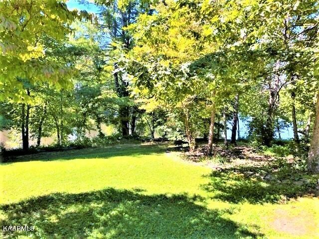 view of property's community featuring a yard